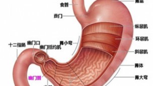 胃组手术配合