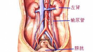 泌尿科腔镜手术配合