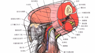 手术室骨科专科2021