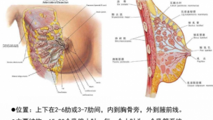  手术室乳腺组专科资料2021